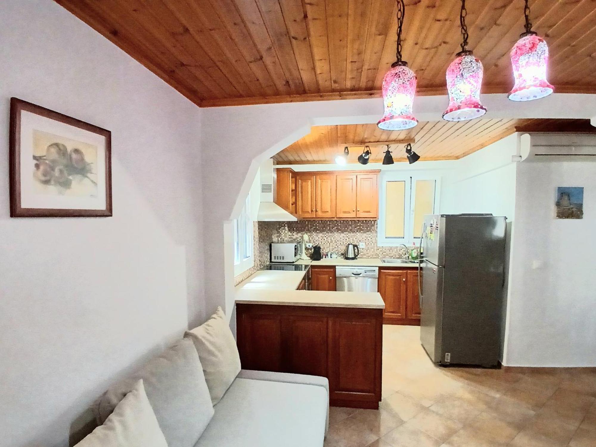 Hellenes House Apartment Lefkada City Exterior photo